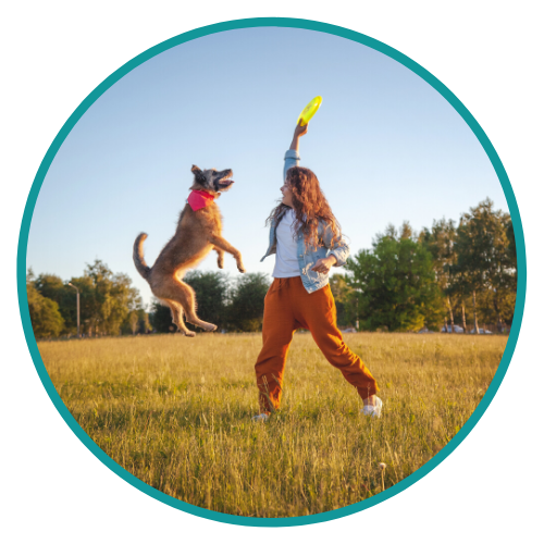 Chiropractic Health in Canonsburg PA