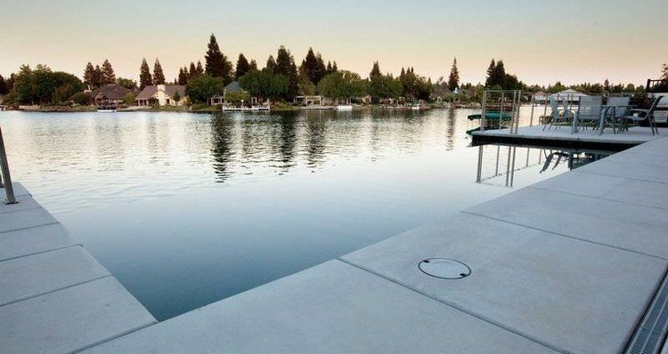 A dock overlooking a lake with trees in the background