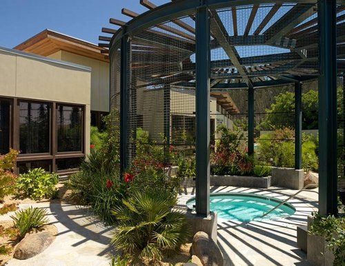 A hot tub is surrounded by plants and a pergola.