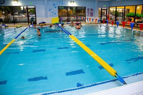 A group of people are swimming in a large indoor swimming pool.