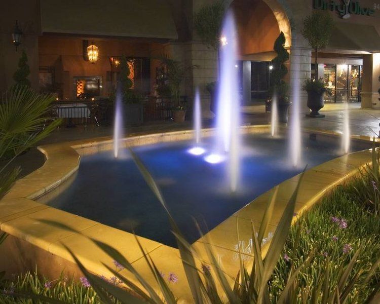 A fountain is lit up at night and surrounded by plants