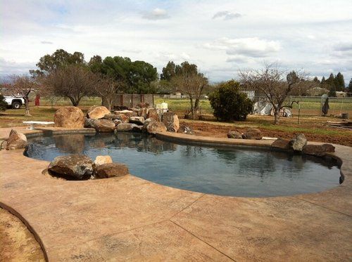 A large swimming pool surrounded by rocks and trees