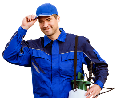 ThinkstockPhotos-622277416-379w.png