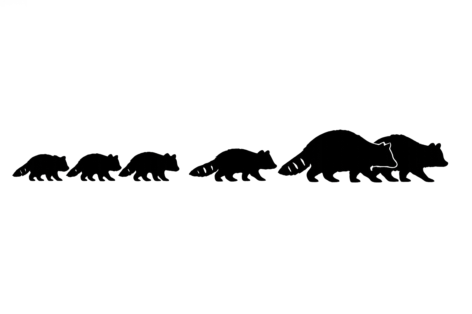A black silhouette of six raccoons of varying sizes walking in a single file line from left to right.