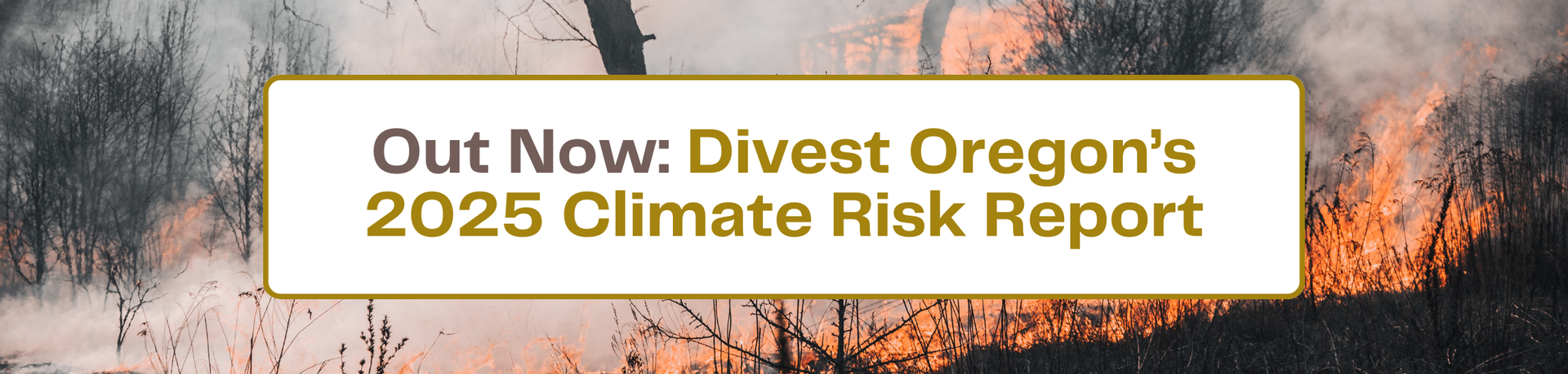 Climate Risk Report