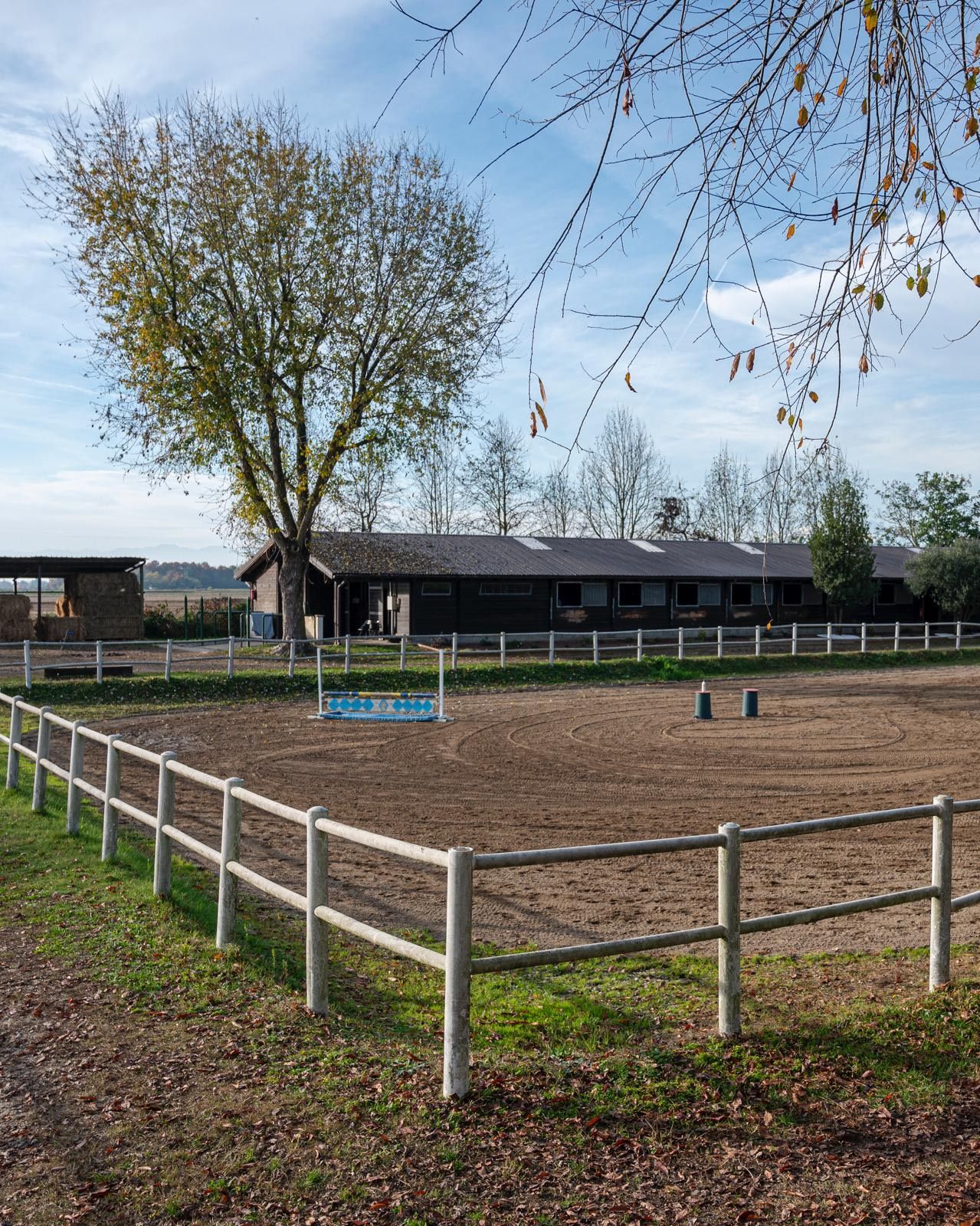 Persona che cavalca un cavallo scuro su un sentiero erboso, con le spalle rivolte all'osservatore, mentre la luce del sole filtra attraverso gli alberi.