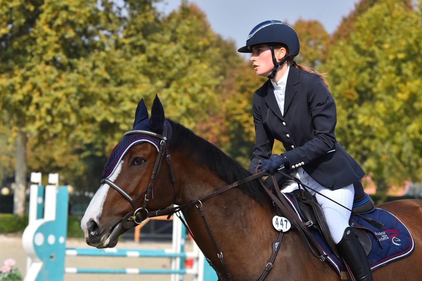 Donna a cavallo durante una gara di equitazione; cavallo marrone, giacca blu, casco, sguardo rivolto avanti.