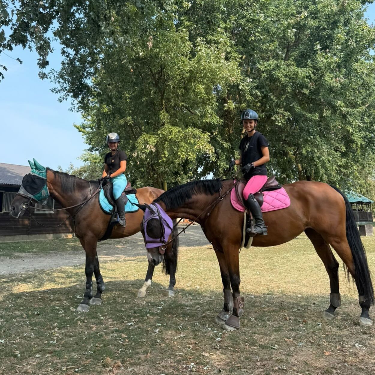 Due persone a cavallo in una zona erbosa, con indosso caschi da equitazione e sottosella colorati.