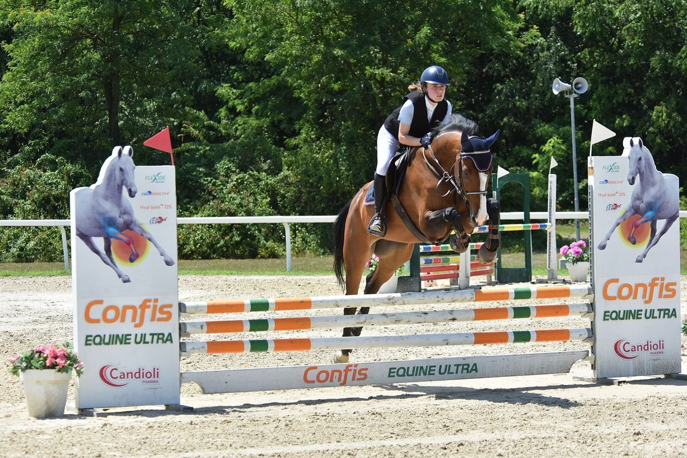Un cavaliere su un cavallo marrone salta un ostacolo durante una competizione equestre.