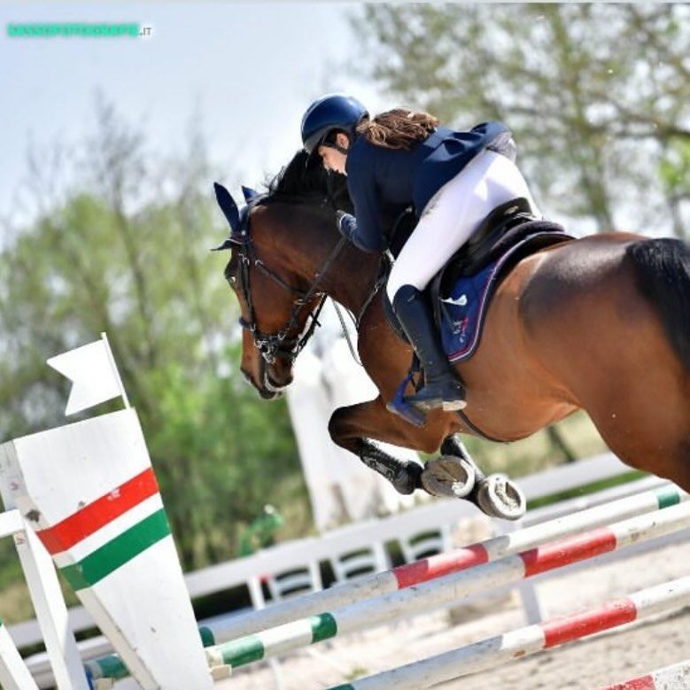 Donna su un cavallo marrone che salta un ostacolo durante una competizione equestre.