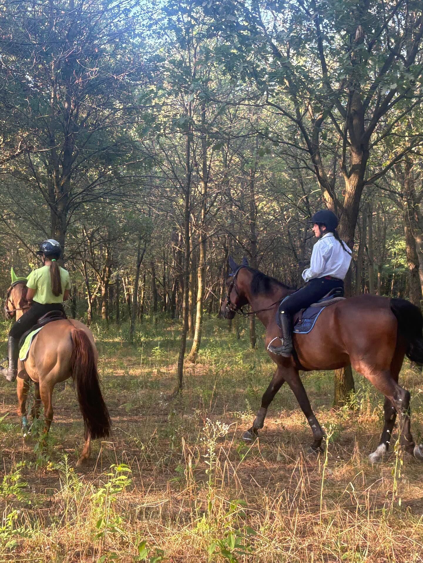 Due persone a cavallo in una zona boscosa. Cavalli marroni, cavalieri con elmetti, giacche verdi e bianche.