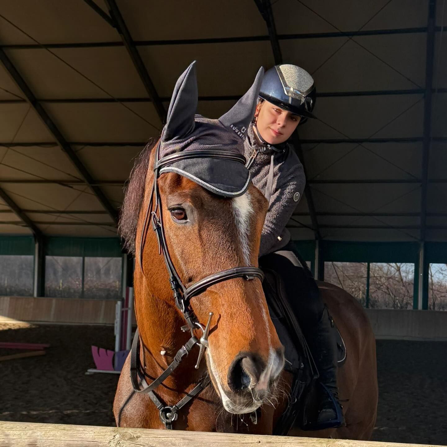 Donna su un cavallo marrone in un maneggio coperto, entrambi rivolti verso la telecamera.