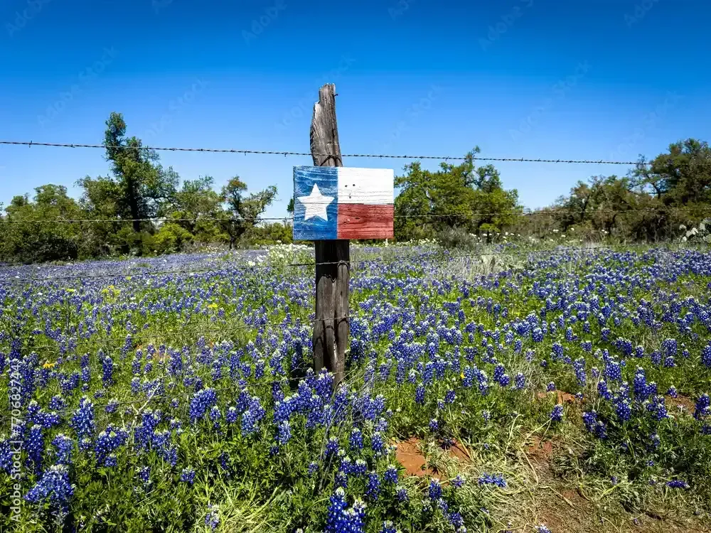 A Texas flag showing in a field of blue bonnets in Dripping Springs, Texas