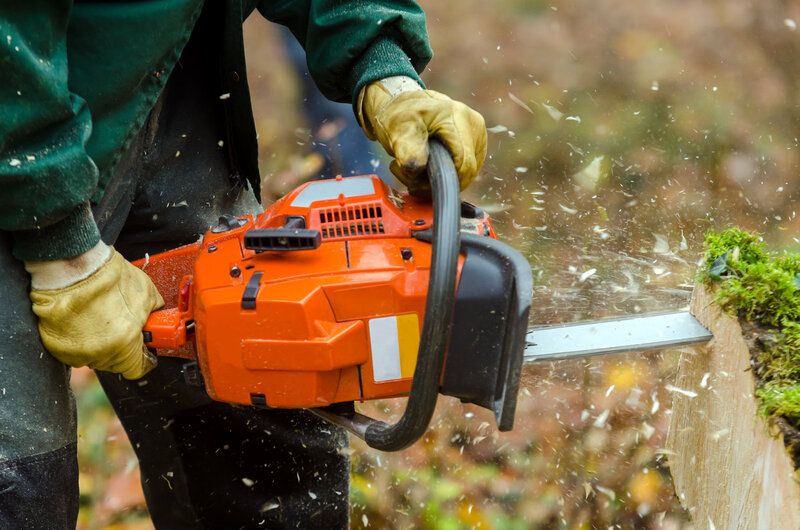 small chainsaw being used to dispose of tree trunk at Maple Ridge Tree Service