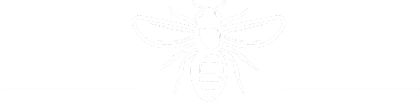 Bee Removal Icon