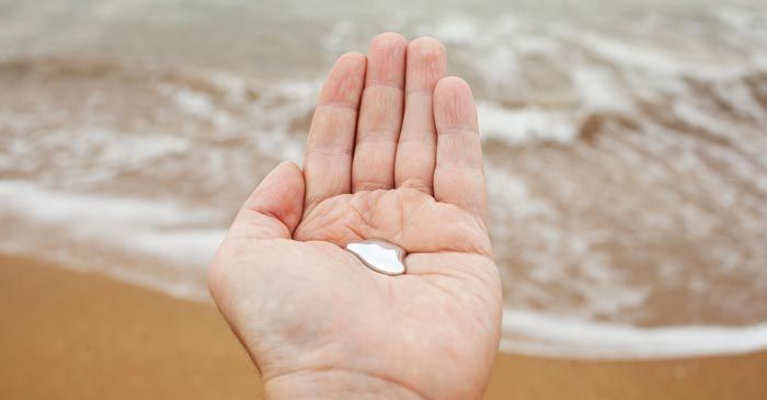 Hand holding a small, white seashell at the beach, with blurred waves and sand in the background representing Heavy Metal Detox by Dr. Louis Granirer Holistic Chiropractor