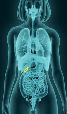 A Case Study for Gallbladder Dysfunction