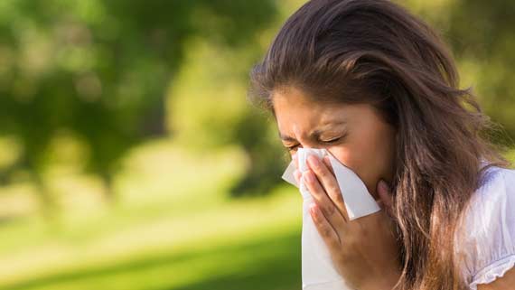 Allergy Relief - Dr. Louis Granirer Holistic Chiropractor. Allergy Remedies in Kingston, Ulster County NY 12401