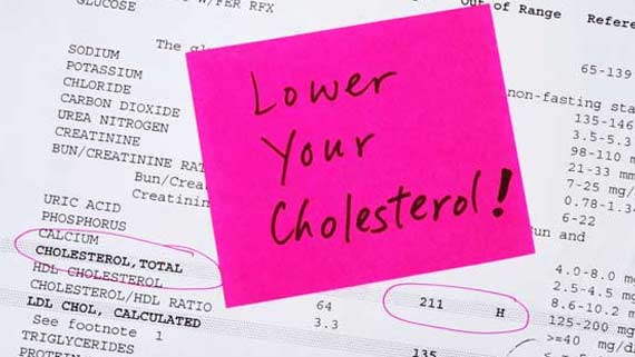 Lower Cholesterol - Dr. Louis Granirer Holistic Chiropractor Remedy to Lower Cholesterol in Kingston Ulster County NY 12401