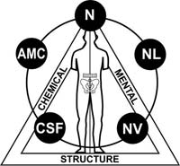 Applied Kinesiology NY Dr. Louis Granirer and the Triad of Health