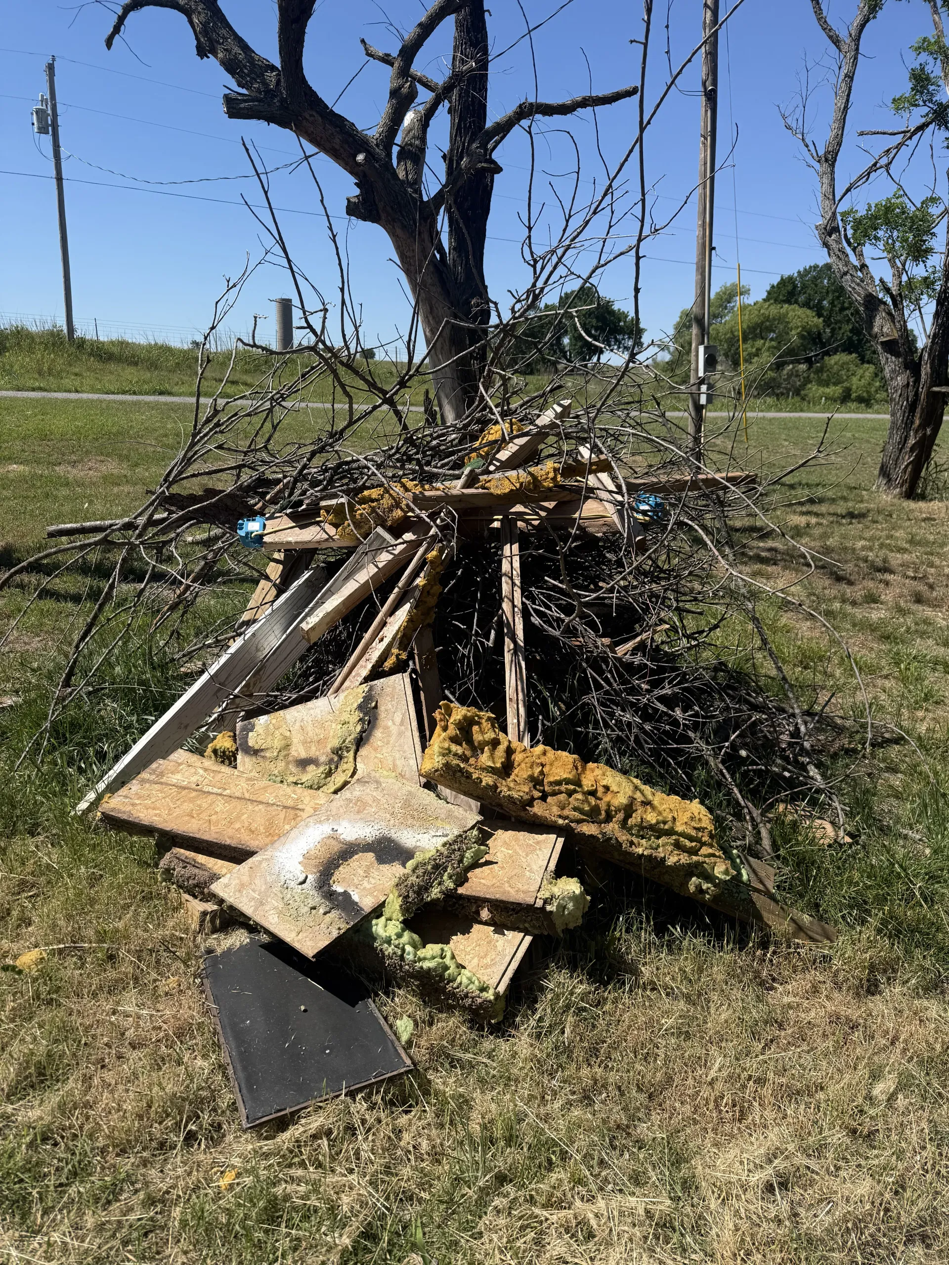 Pile of cut branches and wooden planks in a grassy orchard under a clear blue sky.