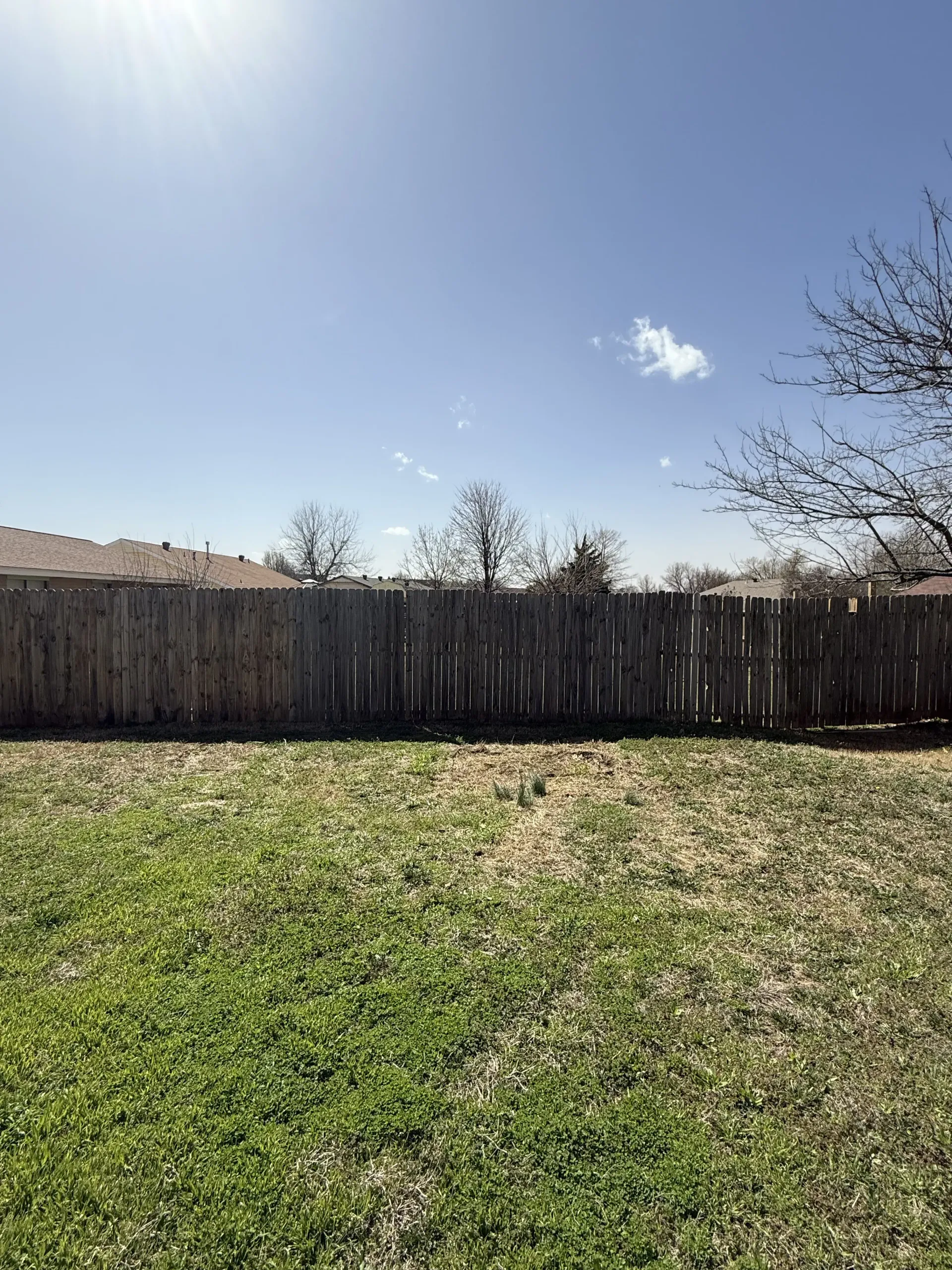 Grassy backyard with a wooden fence, leafless trees, and a clear blue sky.