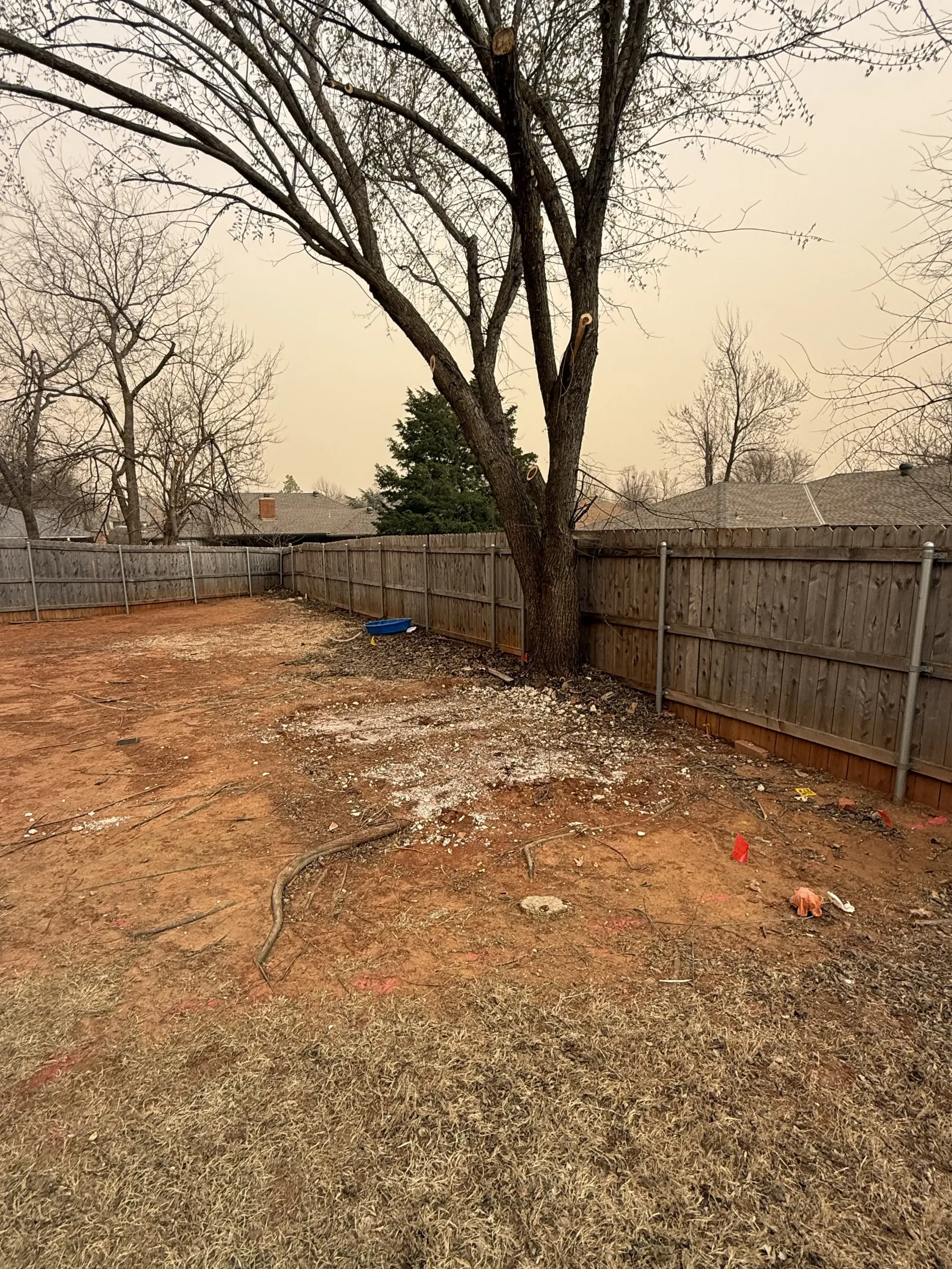 Bare backyard with leaf-covered ground, chain-link fence, leafless trees, and overcast sky.
