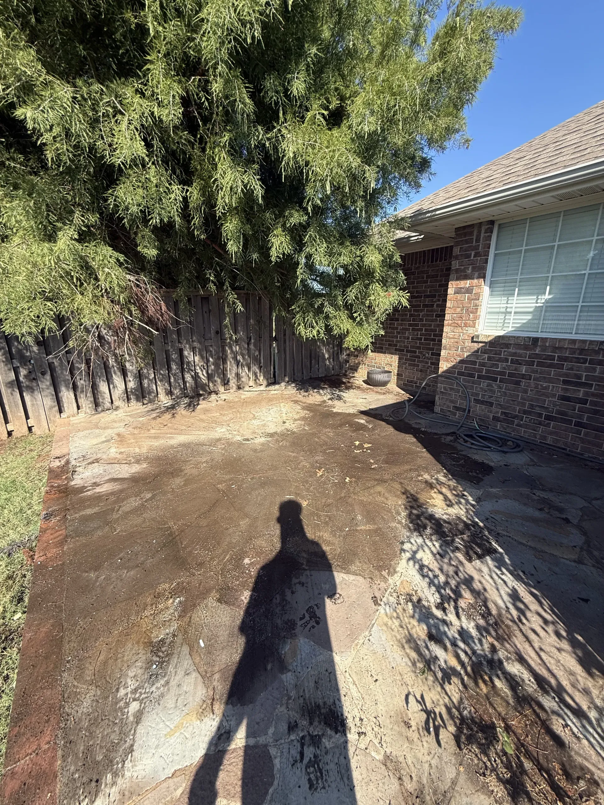 Backyard with wet dirt ground, large tree, wooden fence, and brick house wall in sunlight