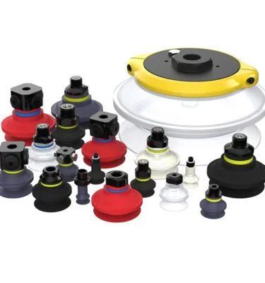 Piab sogsk&aacute;lar