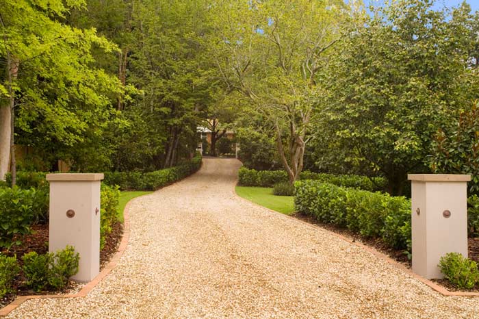 dirt road with trees