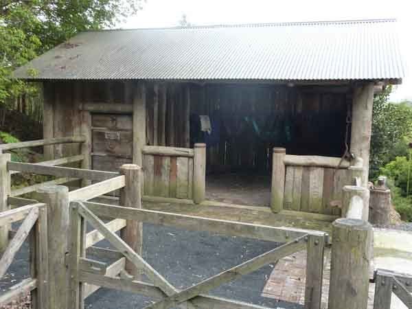 wood farm