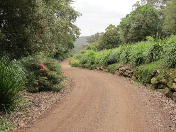 dirt road with plants on either side