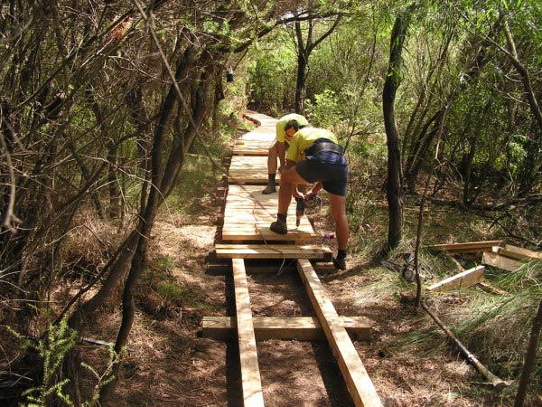 wooden path under construction