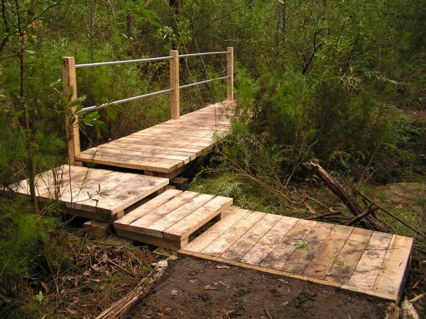 wooden path through plants