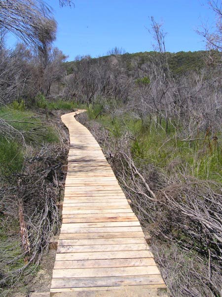 long winding wooden path