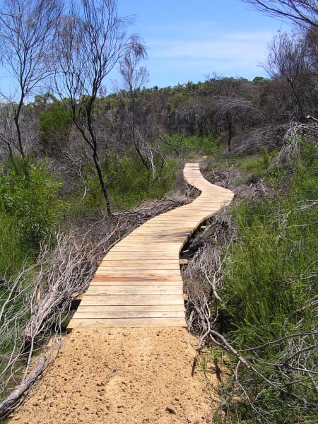 long wooden walkway