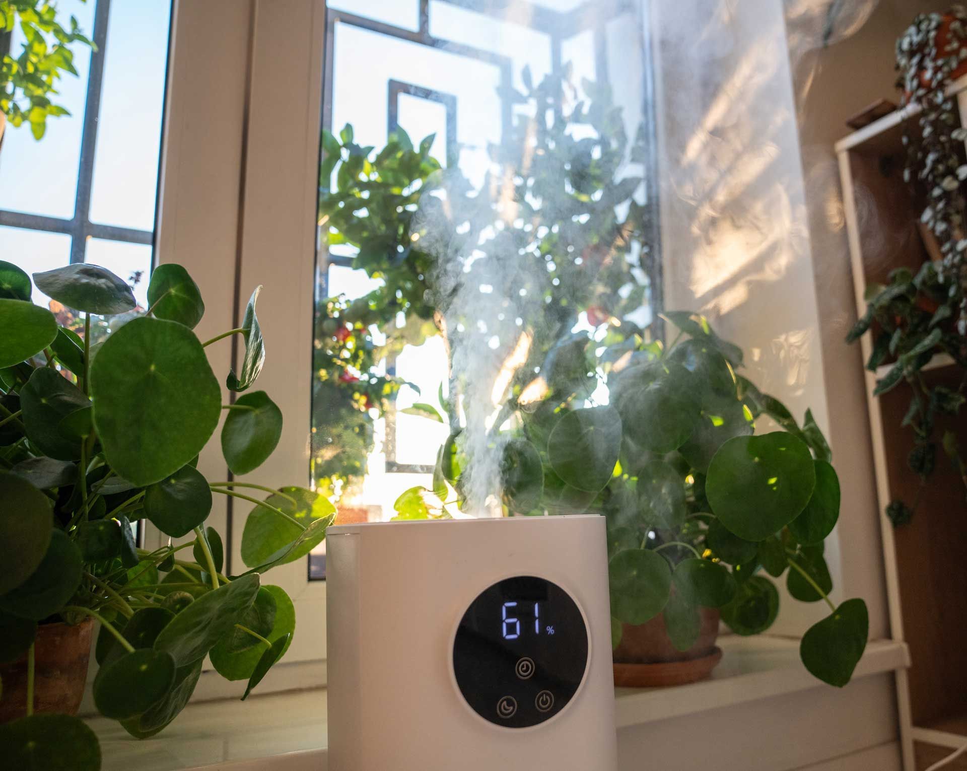 A humidifier is sitting on a window sill next to a potted plant.