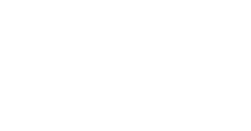 DesignFox Logo