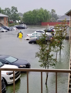 cars in flood