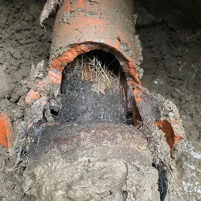 clogged sewer pipes