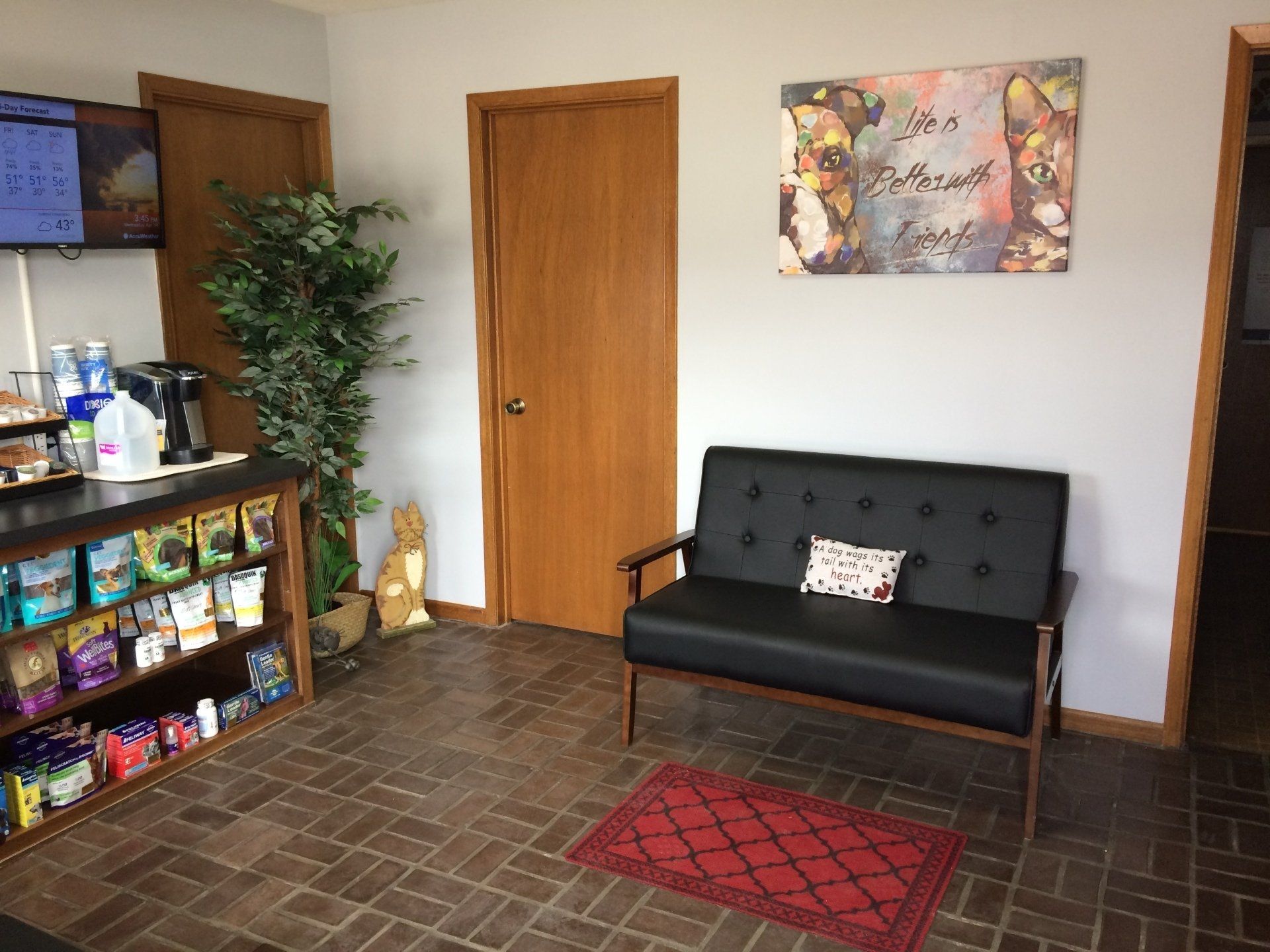 Vet Clinic in Carroll & Jefferson, IA Animal Hospital