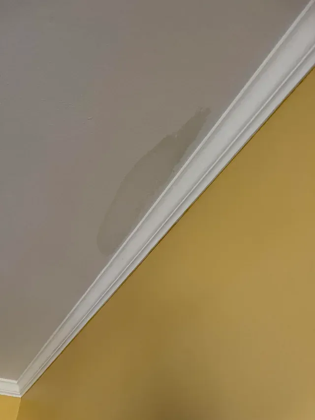 A white ceiling with a yellow wall and a white molding.