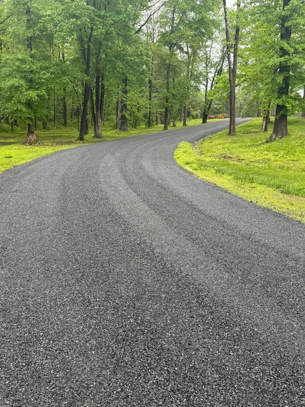 A curvy road going through a forest with trees on both sides.