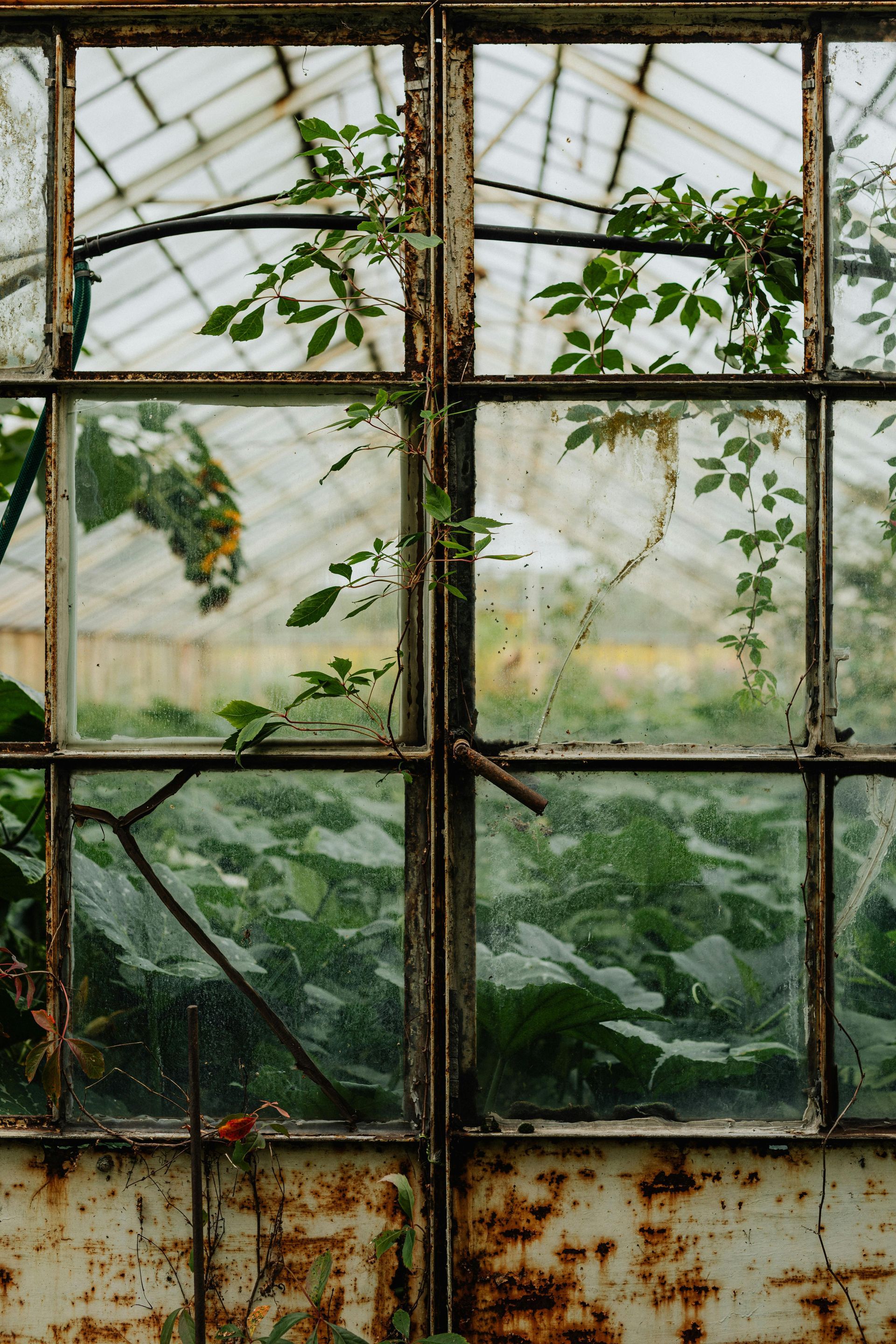 pure air inside a home after indoor air quality services have been provided