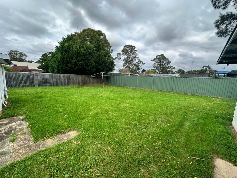 Green Backyard Lawn — About Time Plumbing & Civil Construction in Moss Vale, NSW