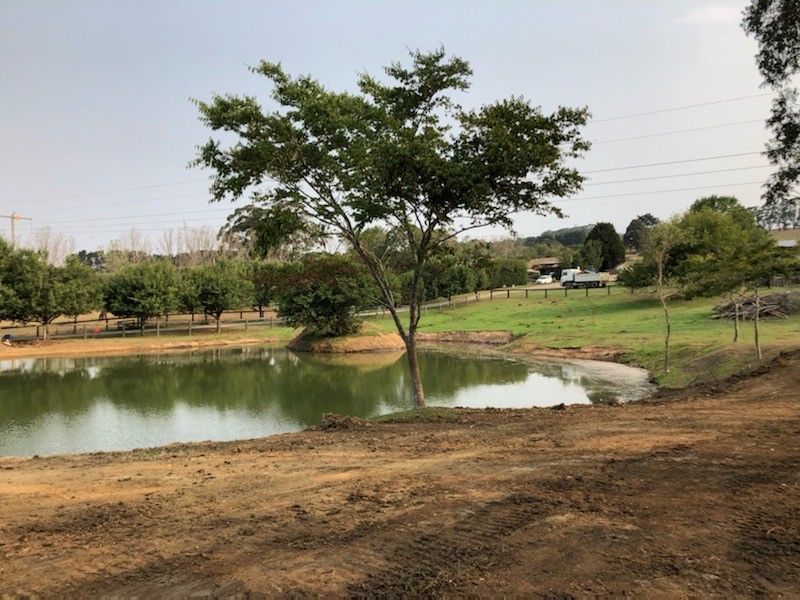 A Small Pond With A Tree In The Middle Of It — About Time Plumbing & Civil Construction in Moss Vale, NSW