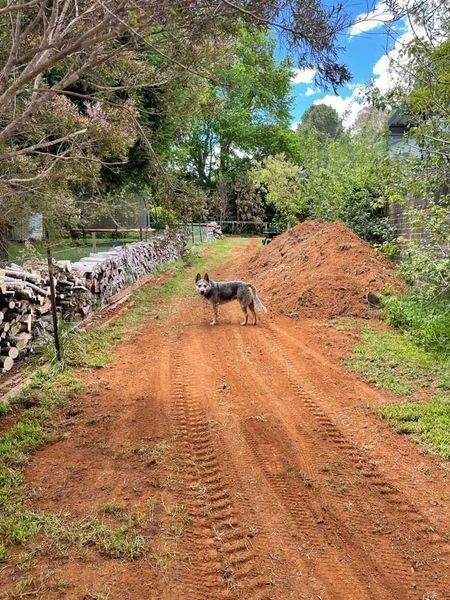 A Dog Is Standing On A Dirt Road Next To A Pile Of Dirt — About Time Plumbing & Civil Construction in Mittagong, NSW