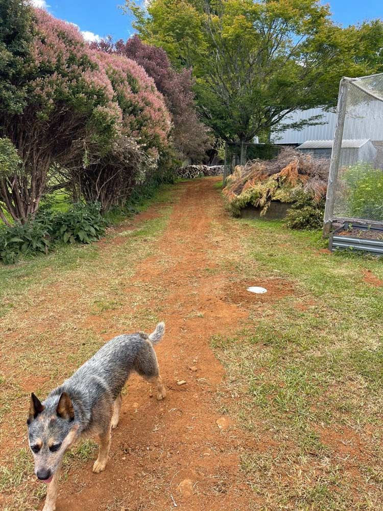 Photo of the Lawn — About Time Plumbing & Civil Construction in Moss Vale, NSW