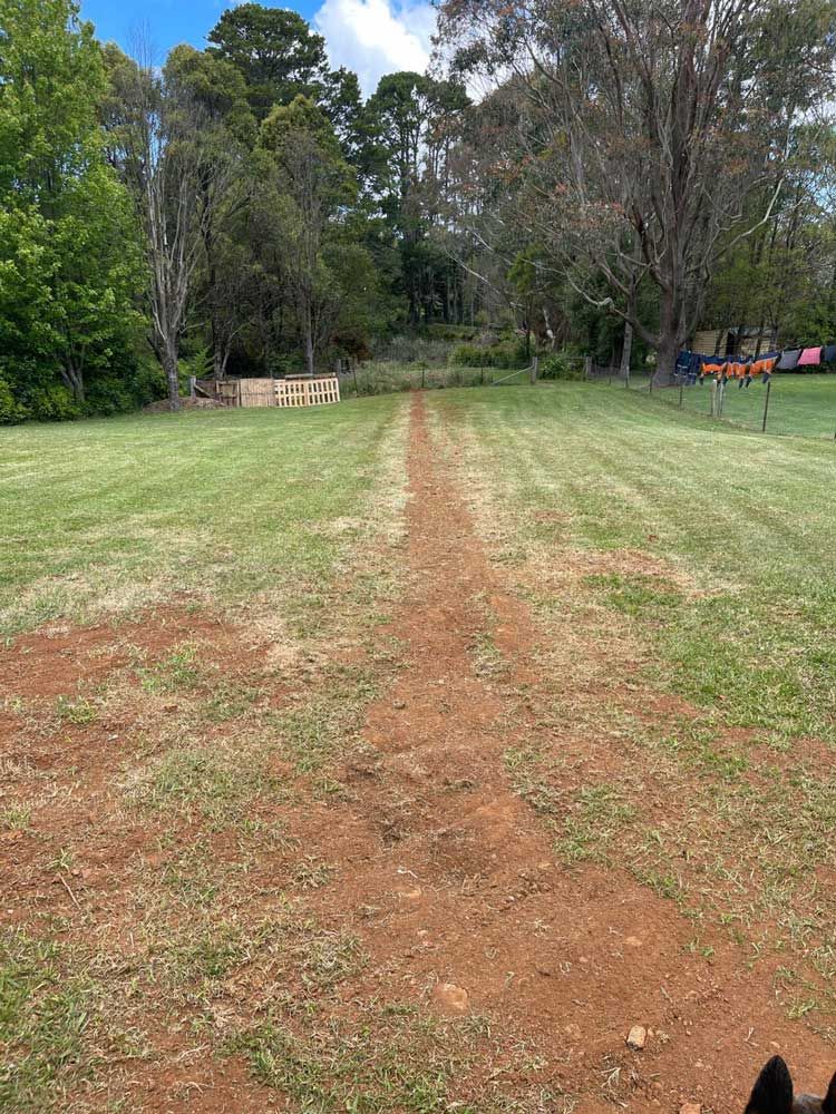 Residential Lawn — About Time Plumbing & Civil Construction in Moss Vale, NSW