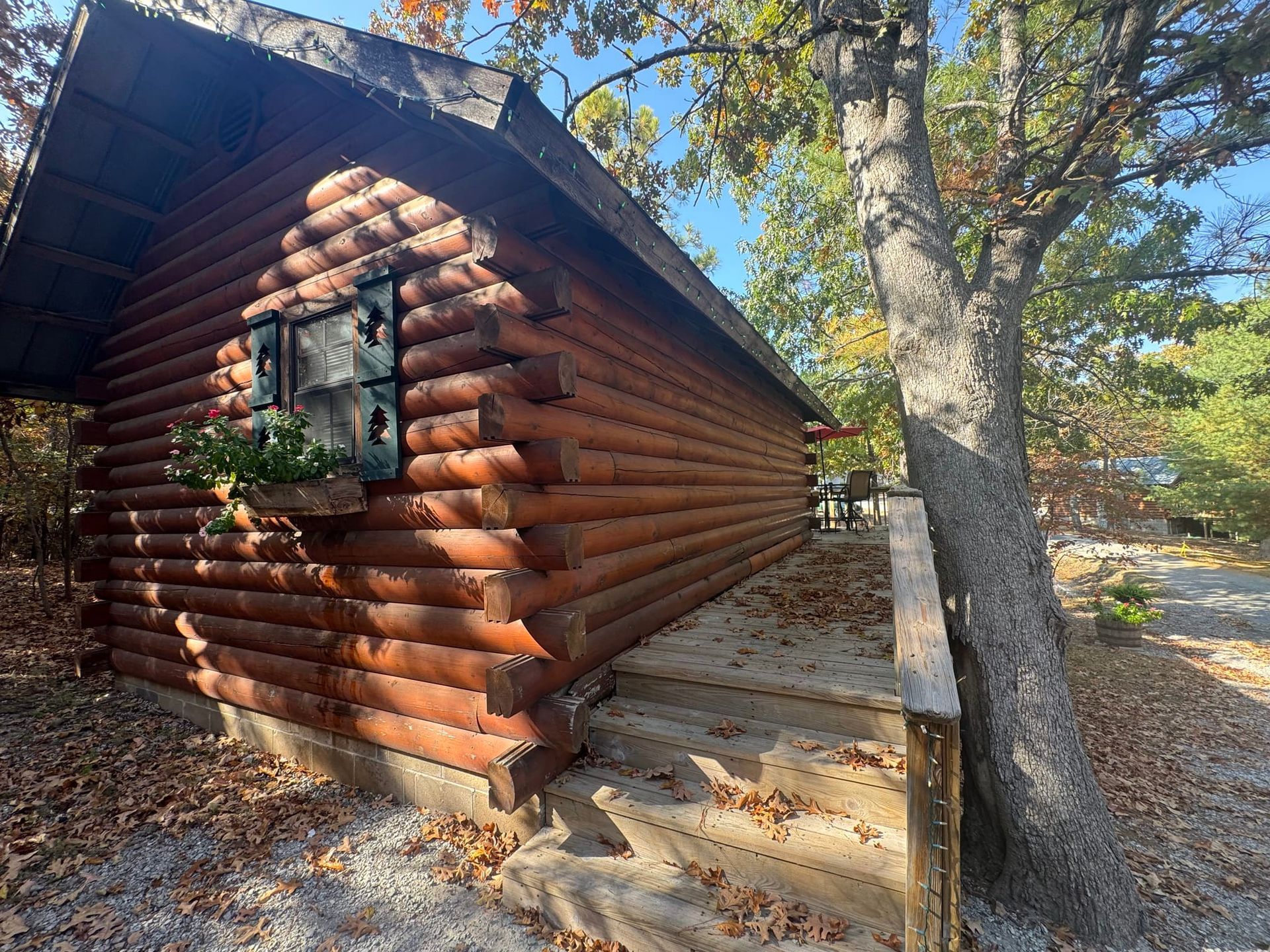 A log cabin is surrounded by trees and leaves on a sunny day.